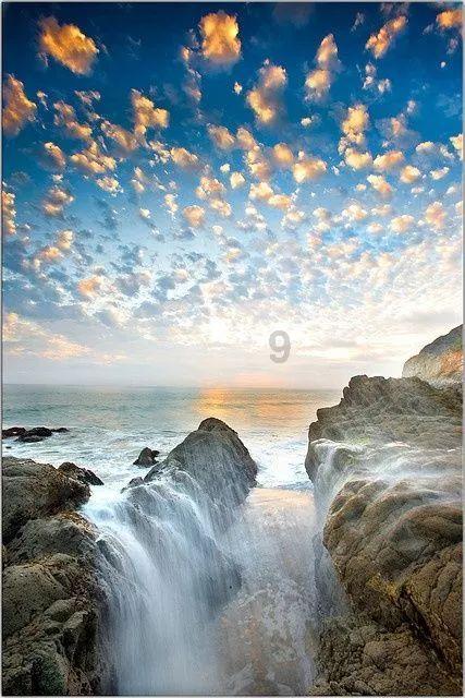 非常看好海南黎药发展前景