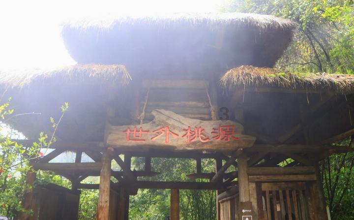 豆娃踢足球