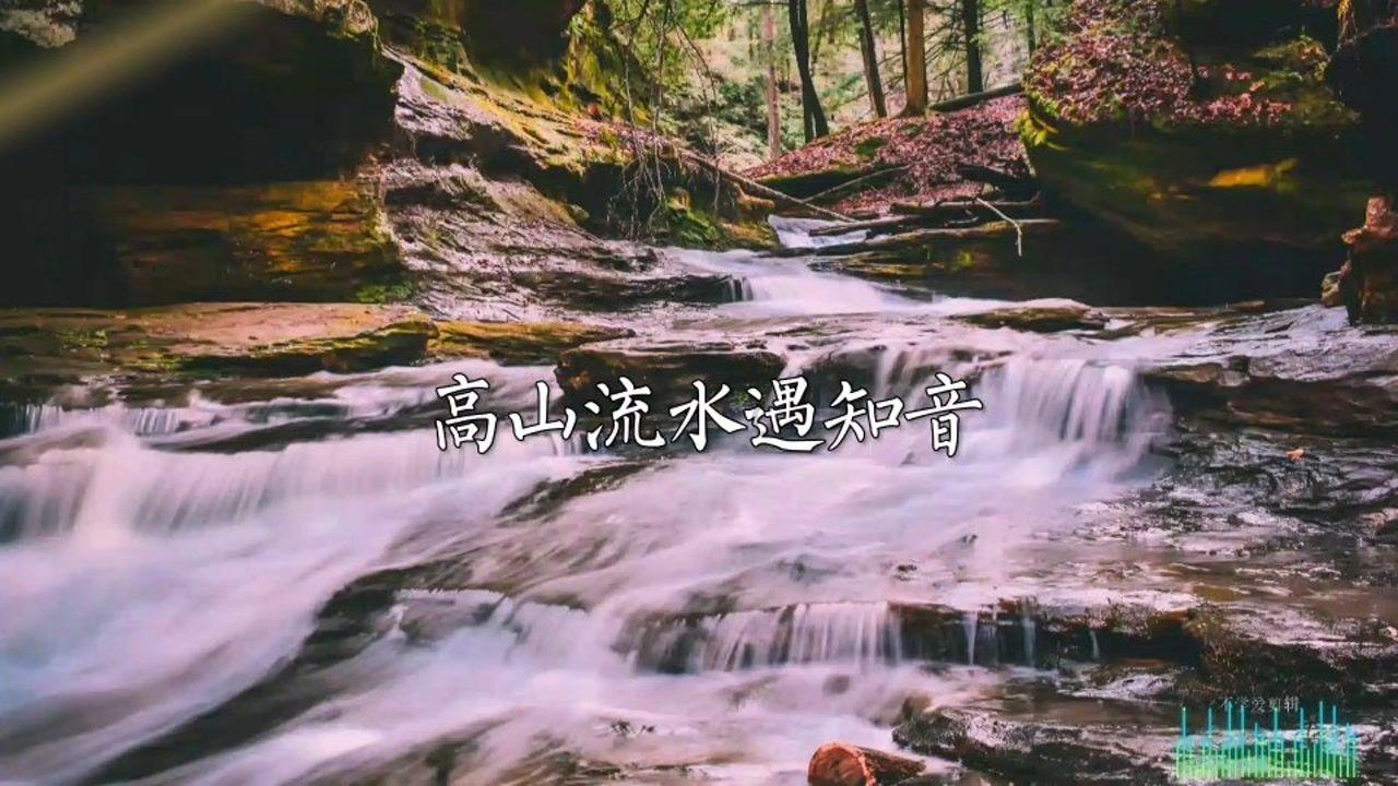 公主的阅读区