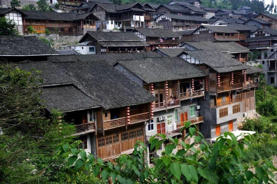 熊出没水果大陆2