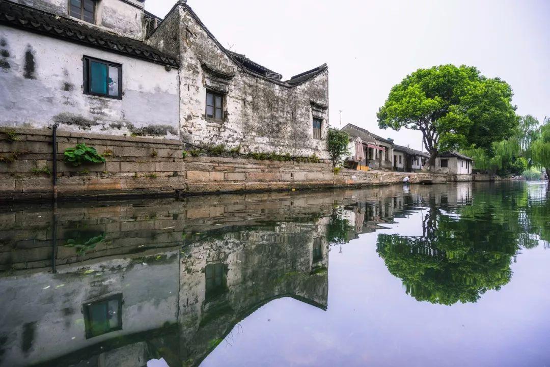 ”见行见效 津彩绽放”活动参赛作品:我为大姨测血氧